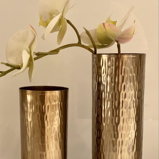 Metal Flower Vase- Set of 2 (Vintage for Home décor)