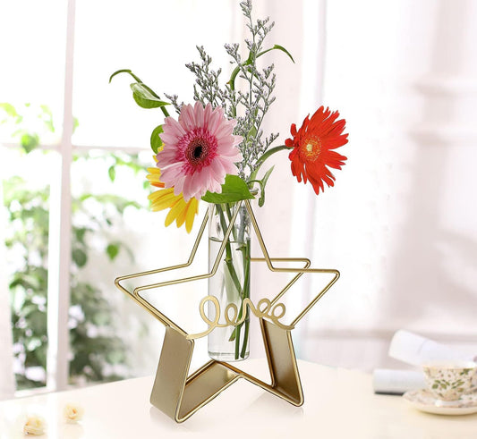 Metal star with Test-tube Planter-Stand