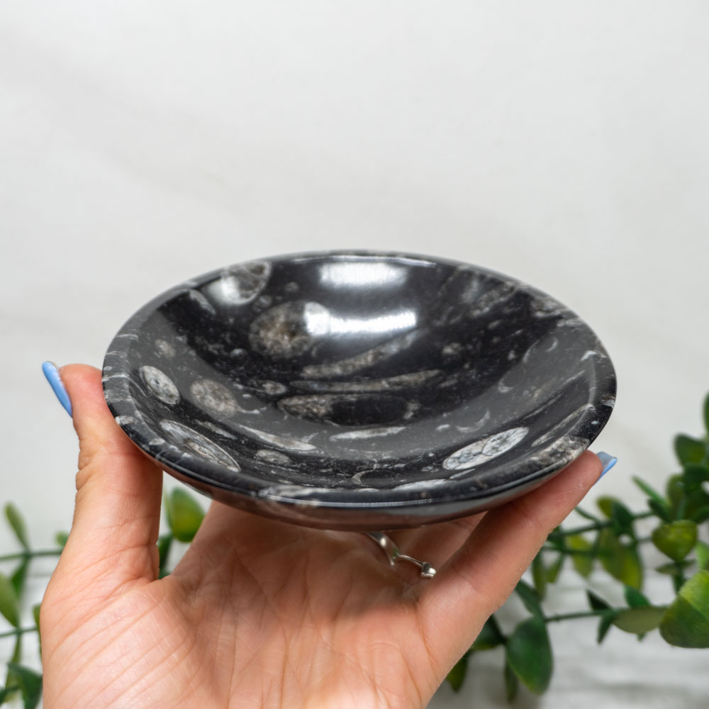 Orthoceras Bowl - Certified Orthoceras Fossil Kuber Bowl with Certificate for Prosperity, Wealth and Success (Kuber Bowl)