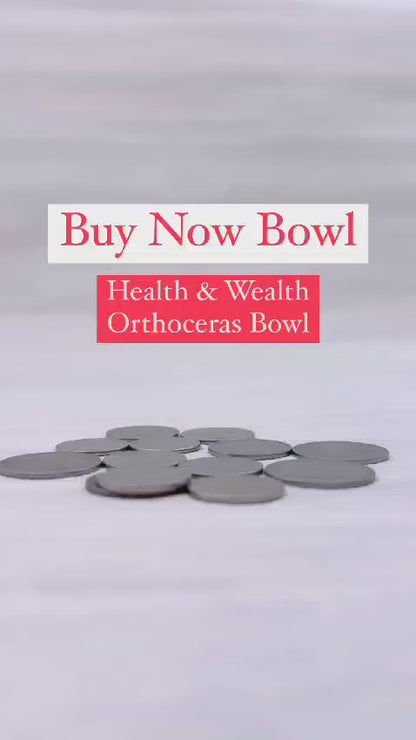 Orthoceras Bowl - Certified Orthoceras Fossil Kuber Bowl with Certificate for Prosperity, Wealth and Success (Kuber Bowl)