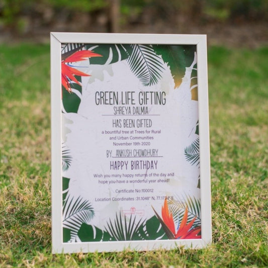 Green Life Gifting