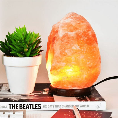 100% Genuine Healing Himalayan Rock Salt Lamp- Natural Shaped, Natural Air Purifier, for Vaastu - Feng Shui - Healing - Peace & Harmony